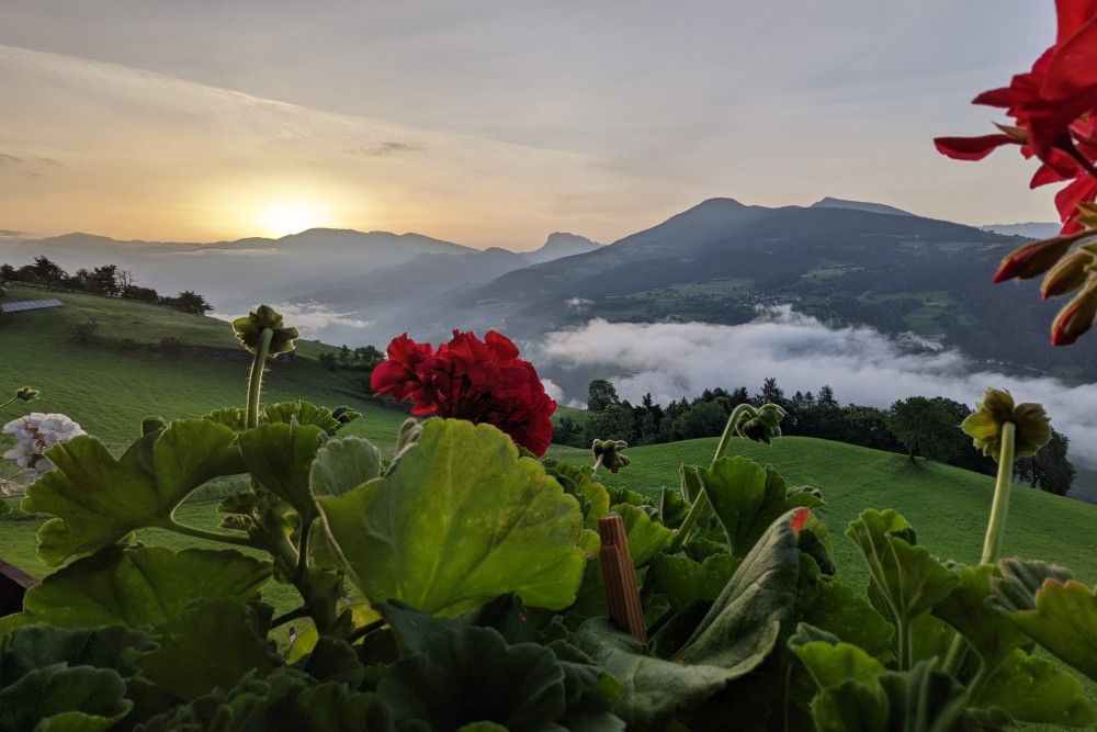 www.hauserhof.net