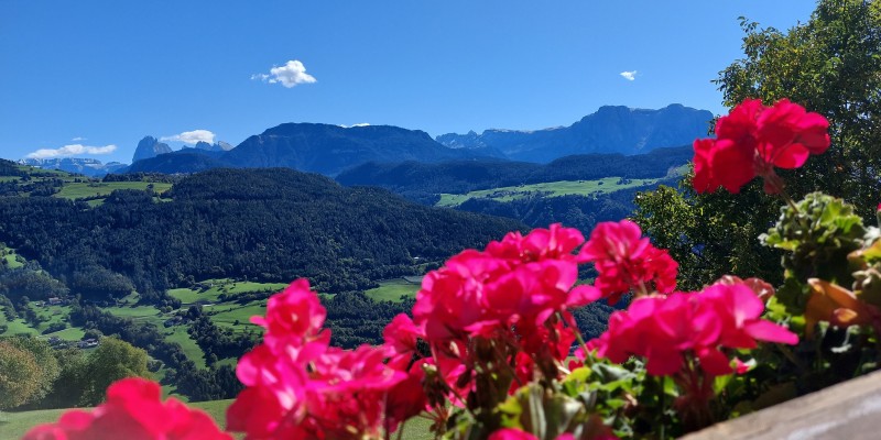 www.hauserhof.net
