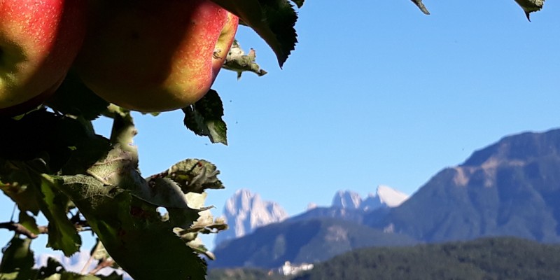 www.hauserhof.net