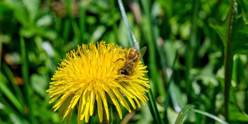 www.hauserhof.net
