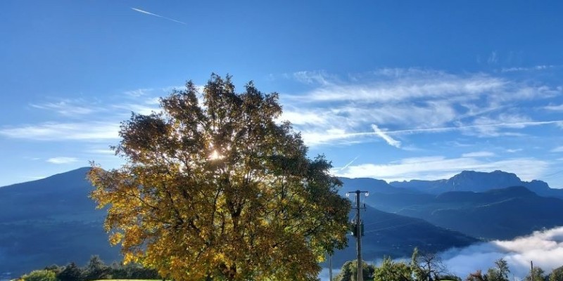 www.hauserhof.net