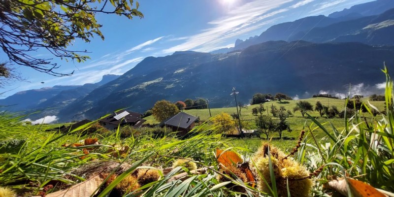 www.hauserhof.net