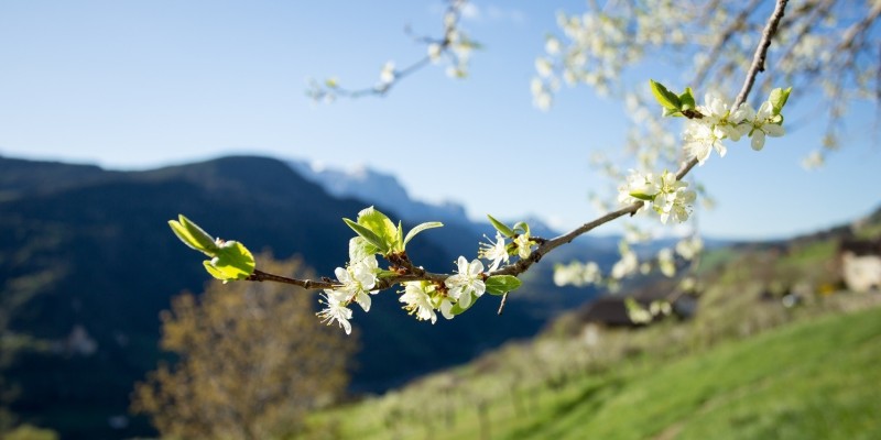 www.hauserhof.net