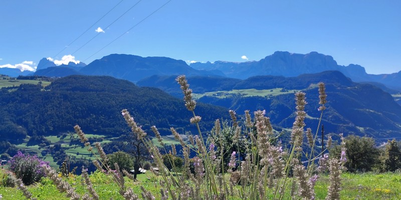 www.hauserhof.net